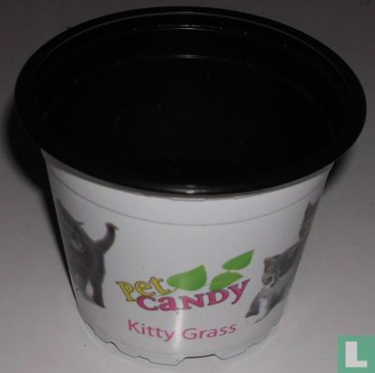 Pet Candy Kitty Grass - Afbeelding 1