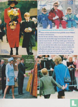Margriet 38 - Lady Diana - Image 2