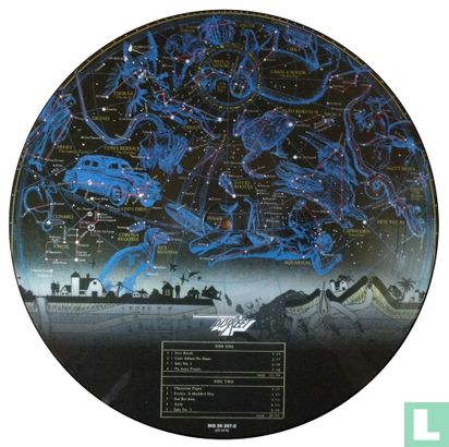 One Size Fits All - Picture disc - Image 2