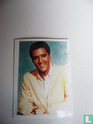 Pasfoto Elvis - Afbeelding 1