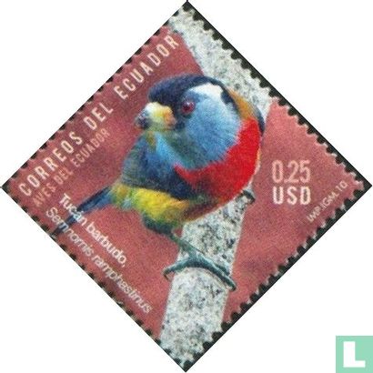 Oiseaux