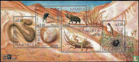 Namibia Dünen