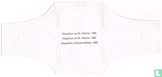Napoléon à Sainte-Hélène, 1820 - Image 2