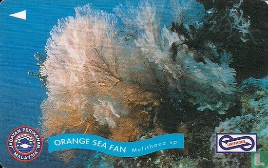 Orange Sea Fan - Image 1