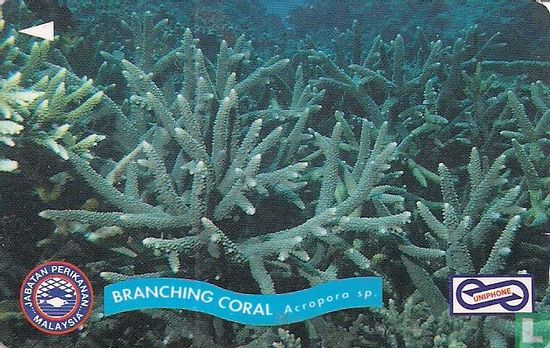 Branching Coral - Afbeelding 1