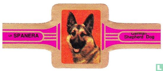 German Shepherd Dog - Afbeelding 1