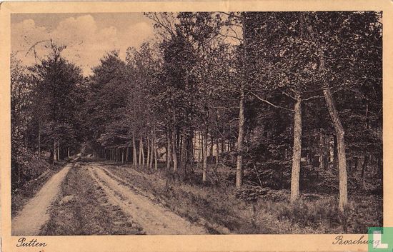 Putten, Boschweg
