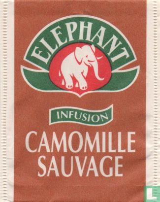 Camomille Sauvage - Image 1
