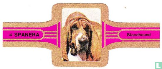 Bloodhound - Afbeelding 1