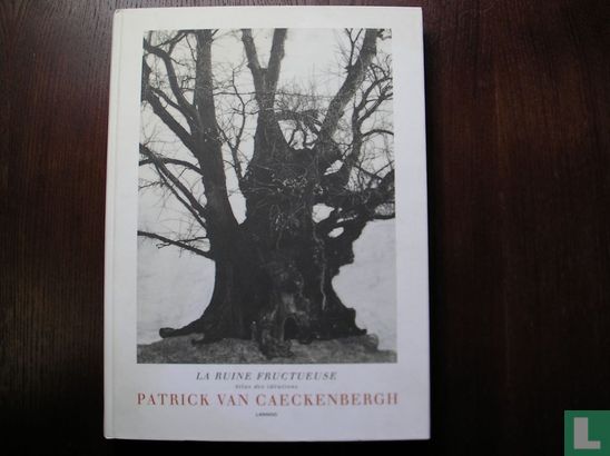 Patrick Van Caeckenbergh - La ruine fructueuse - Bild 1