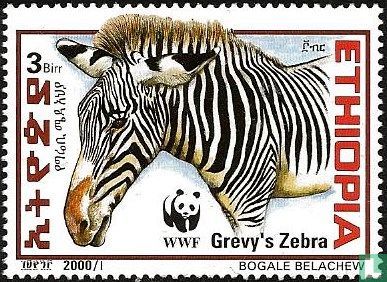 WWF - Grévyzebra