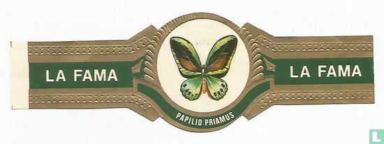 Papilo Priamus - La Fama - La Fama - Afbeelding 1