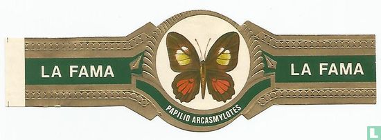 Papilo Arcasmylotes - La Fama - La Fama - Afbeelding 1