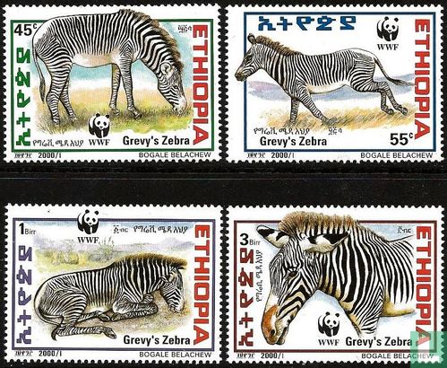WWF-Grévy's Zebra