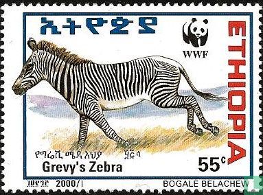 WWF - Grévyzebra