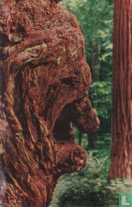 Old Man Burl Redwood Trees - Image 1