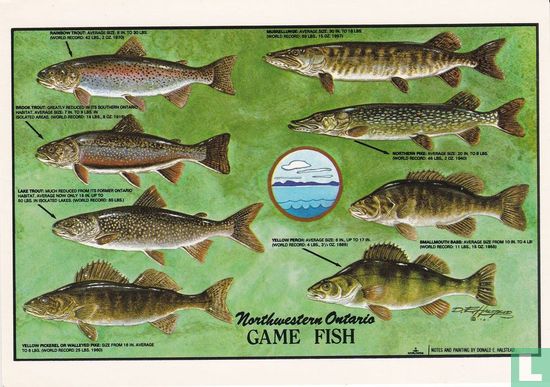 Game Fish