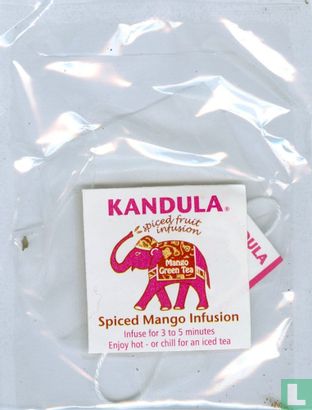 Spiced Mango Infusion - Image 1