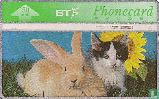 Spring In The Air - Rabbit & Kitten - Image 1