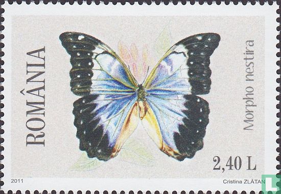 Butterflies  