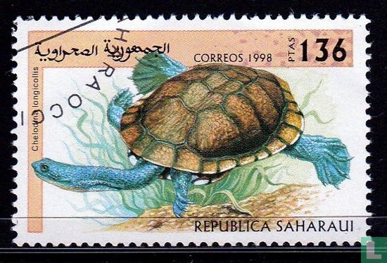 Saharaui, République, reptiles