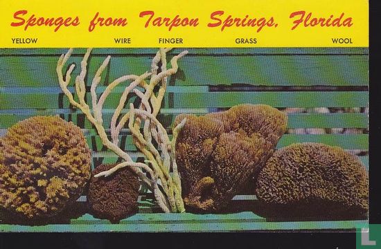 Sponges from Tarpon Springs Florida - Image 1