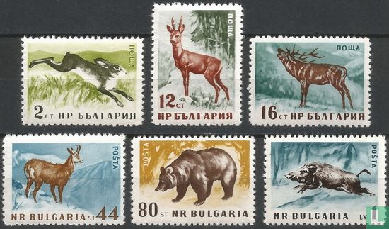 Indigenous forest animals