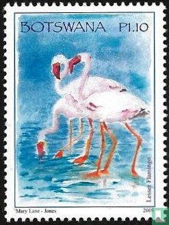 Flamingos and cranes