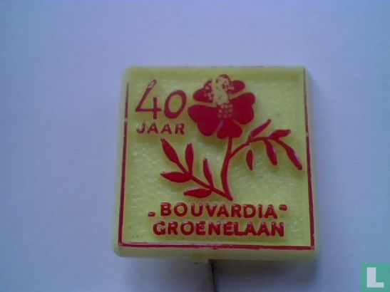 40 jaar "Bouvardia" Groenelaan [rood op geel]
