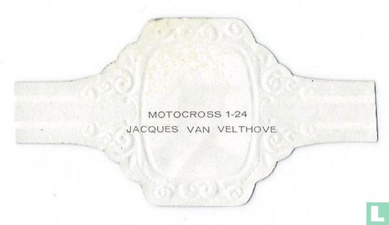 Jacques van Velthove - Image 2