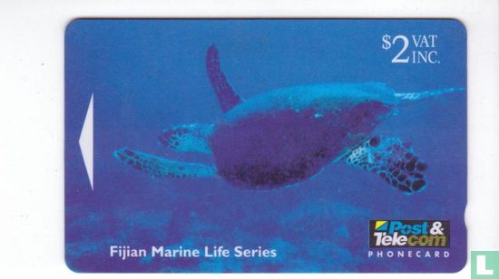 Fijian Marine Life Series - Image 1