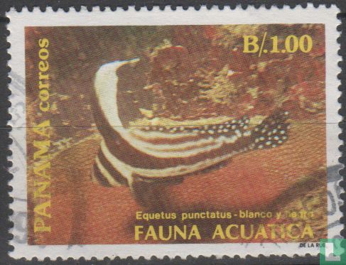 Fauna Acuatica