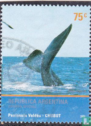 Mercosur - Whales