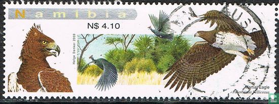 eagles of namibia