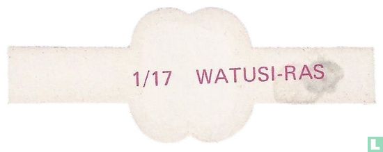 Watusi-Ras - Bild 2