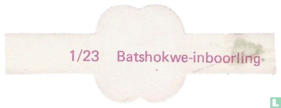 Batshokwe-inboorling  - Image 2