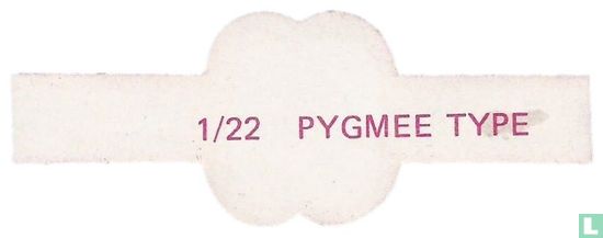 Pigmee type  - Afbeelding 2