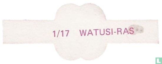 Watusi-Ras - Afbeelding 2
