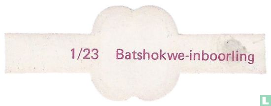Batshokwe-inboorling - Bild 2