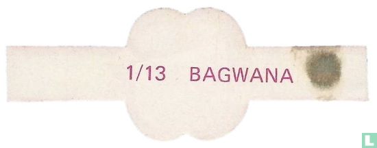 Bagwana - Bild 2