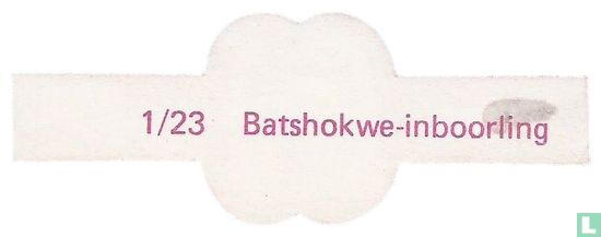 Batshokwe-inboorling  - Bild 2