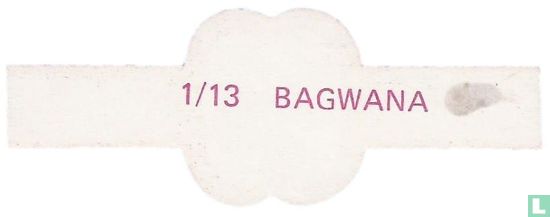 Bagwana  - Afbeelding 2