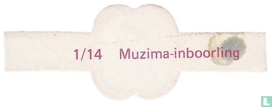 Muzima-inboorling - Image 2