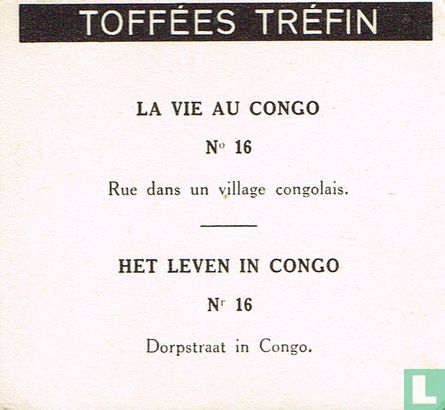 Dorpstraat in Congo - Image 2