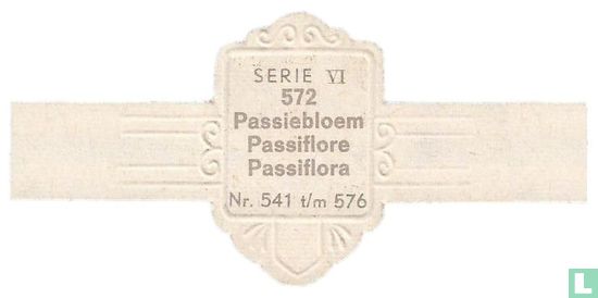 Passiebloem - Passiflora - Afbeelding 2