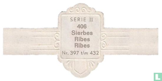 Sierbes - Ribes - Afbeelding 2