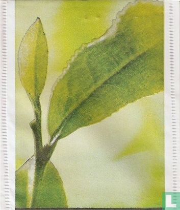 Grøn te med Citrus - Bild 1