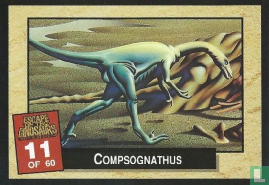 Compsognathus - Image 1