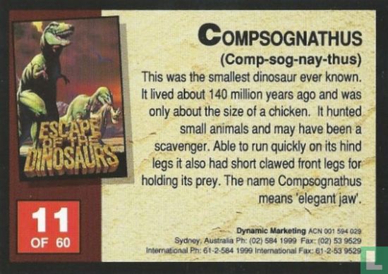Compsognathus - Image 2