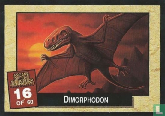 Dimorphodon - Afbeelding 1